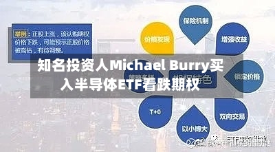 知名投资人Michael Burry买入半导体ETF看跌期权-第2张图片