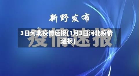 3日河北疫情速报(1月3日河北疫情通报)-第3张图片