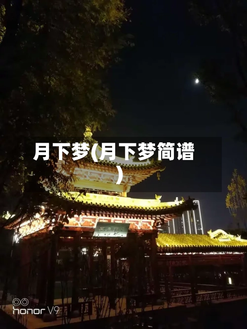 月下梦(月下梦简谱)-第2张图片