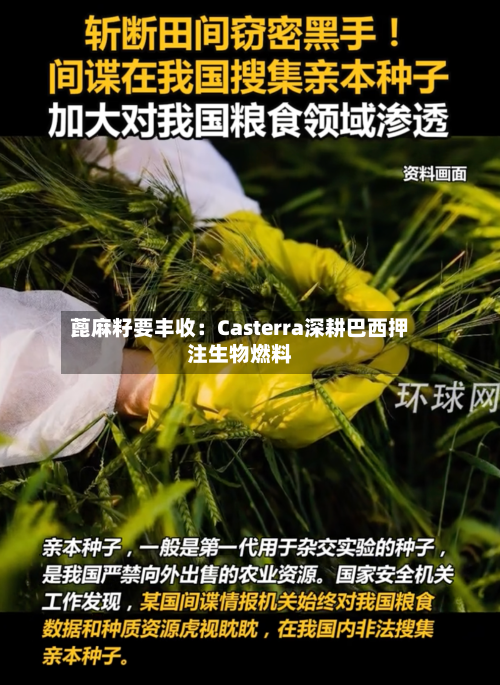 蓖麻籽要丰收：Casterra深耕巴西押注生物燃料-第1张图片