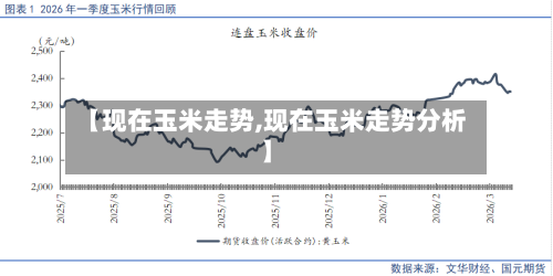 【现在玉米走势,现在玉米走势分析】-第1张图片