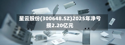 星云股份(300648.SZ)2025年净亏损2.20亿元-第1张图片