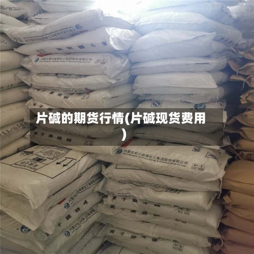 片碱的期货行情(片碱现货费用)-第2张图片