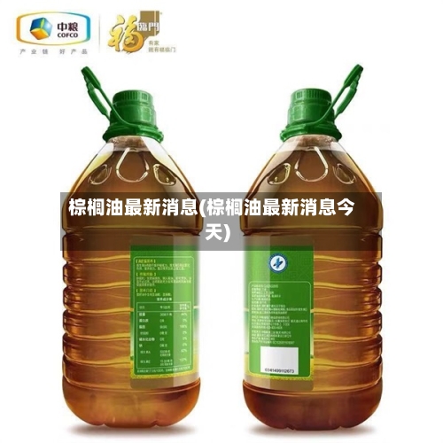 棕榈油最新消息(棕榈油最新消息今天)-第2张图片