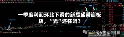 一季度利润环比下滑的新易盛带崩板块，“光”还在吗？-第2张图片