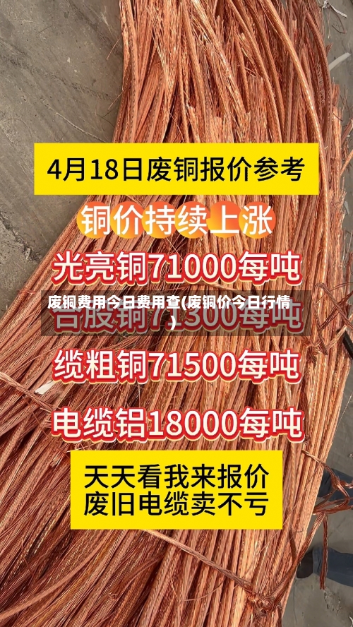 废铜费用今日费用查(废铜价今日行情)-第1张图片
