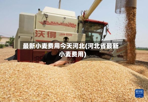 最新小麦费用今天河北(河北省最新小麦费用)-第2张图片