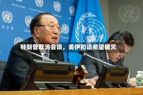 特朗普取消会谈，美伊和谈希望破灭-第1张图片