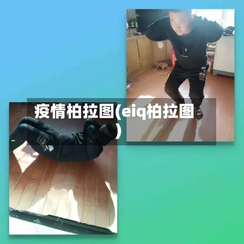 疫情柏拉图(eiq柏拉图)-第1张图片