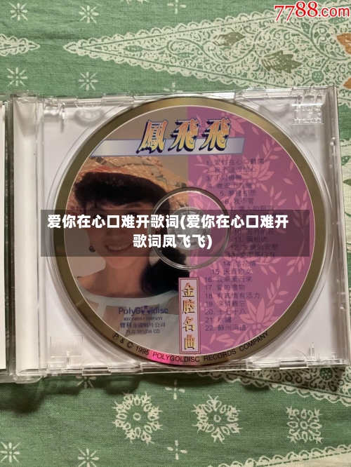 爱你在心口难开歌词(爱你在心口难开歌词凤飞飞)-第2张图片
