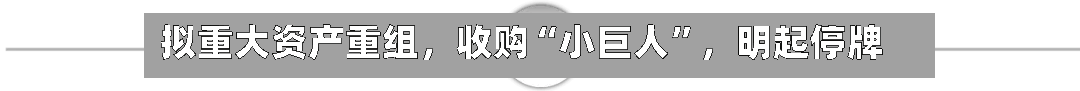 拟重大资产重组，收购“小巨人	”，明起停牌-第1张图片