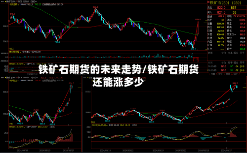 铁矿石期货的未来走势/铁矿石期货还能涨多少-第2张图片
