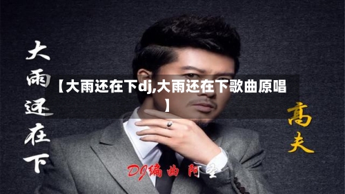 【大雨还在下dj,大雨还在下歌曲原唱】-第3张图片