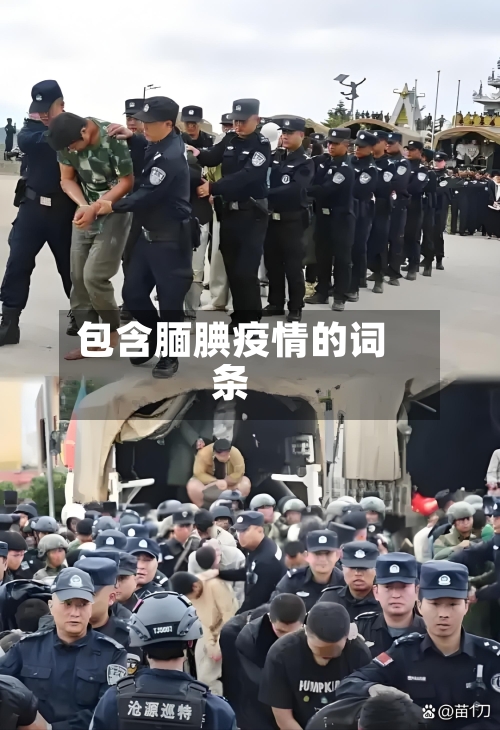 包含腼腆疫情的词条-第1张图片