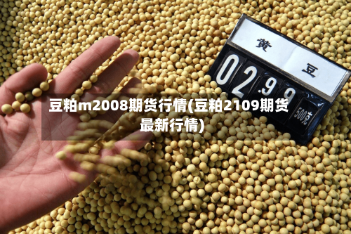 豆粕m2008期货行情(豆粕2109期货最新行情)-第1张图片