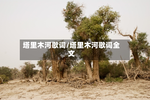 塔里木河歌词/塔里木河歌词全文-第3张图片