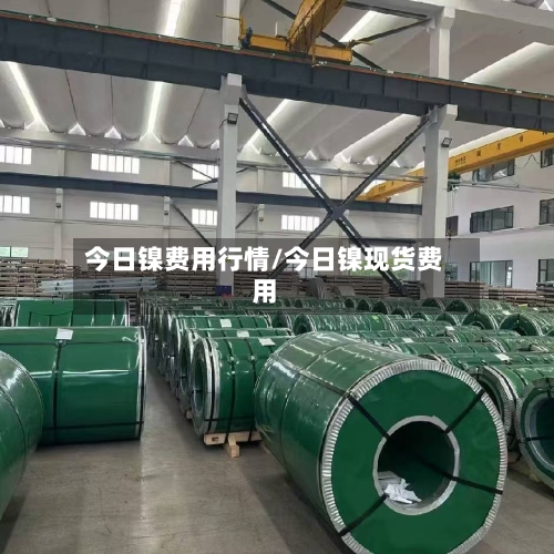 今日镍费用行情/今日镍现货费用-第1张图片