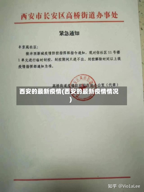 西安的最新疫情(西安的最新疫情情况)-第2张图片