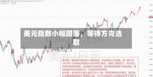 美元指数小幅回落，等待方向选取-第1张图片