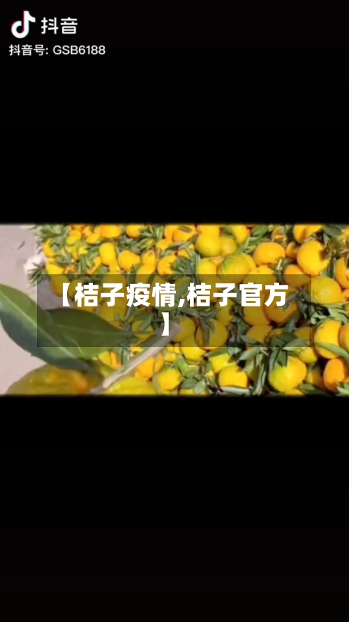 【桔子疫情,桔子官方】-第2张图片