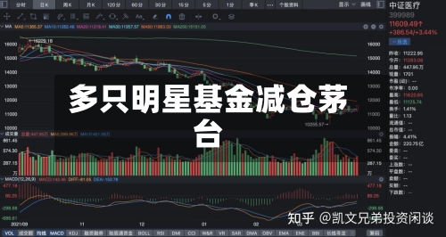 多只明星基金减仓茅台-第2张图片