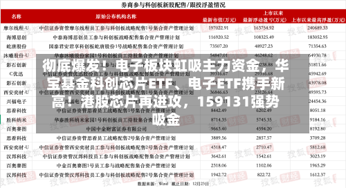 彻底爆发！电子板块虹吸主力资金	，华宝基金科创芯片ETF	、电子ETF携手新高！港股芯片再进攻，159131强势吸金-第3张图片