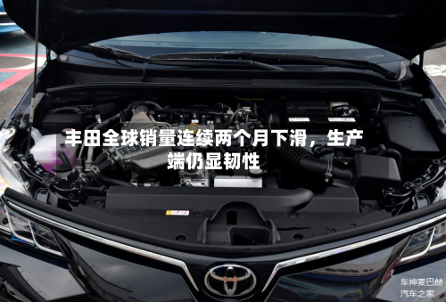 丰田全球销量连续两个月下滑，生产端仍显韧性-第1张图片