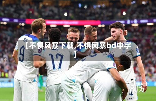 【不惧风暴下载,不惧风暴bd中字】-第2张图片